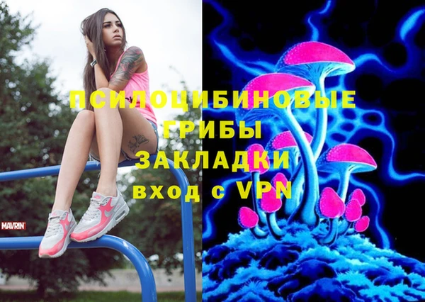 ешки Бугульма