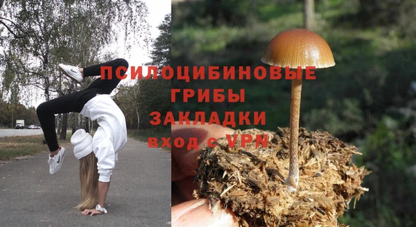 ешки Бугульма