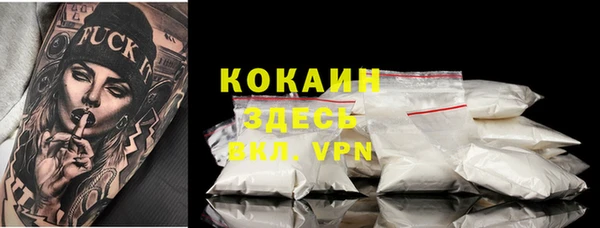 ешки Бородино