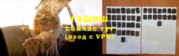 ешки Бородино