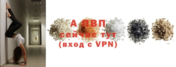 ешки Бородино