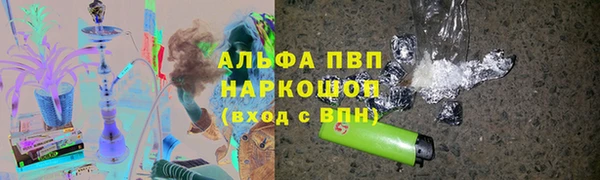 гидра Богородск